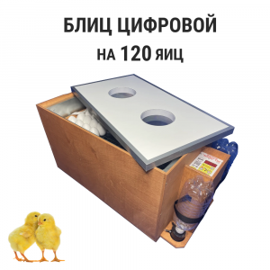 Инкубатор Блиц-120 цифровой 220/12 В